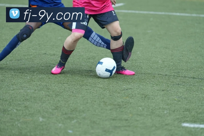 九游官网APP 封面图